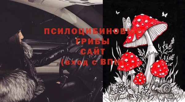 прущие крисы Рославль